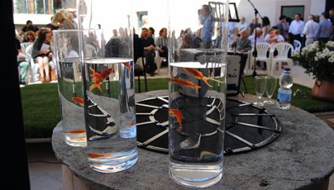PREMIS CIUTAT DE MANACOR 2015