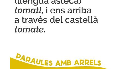 Tomàtiga