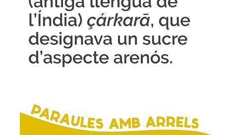 Sucre