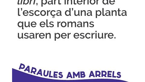 Llibre