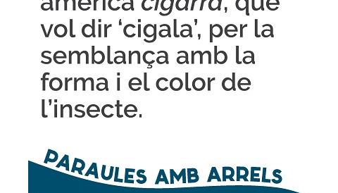 Cigarro