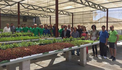 Estel de Llevant inaugura a Manacor el Viver Bio, cent per cent ecològic i amb un compromís social 
