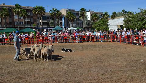 La XXVI Fira Agrícola, ramadera, industrial i artesana mostra la capitalitat comarcal de Manacor als carrers