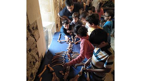 Més de mig miler d’escolars celebren a Manacor el Dia Internacional del Museus aprenent coses del passat