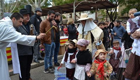 Les Beneïdes traslladen fins als carrers de Manacor tota casta d’animals i d’estampes santantonieres