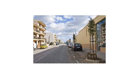 DOTACIÓ D’ARBRES D’ALINEACIÓ EN LA RONDA DE L’OEST A PORTOCRISTO. 
