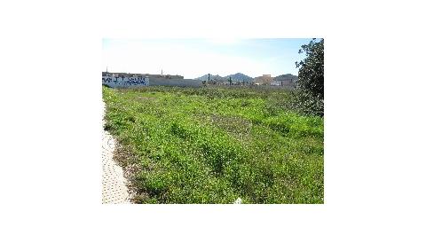 EL NOU CENTRE MODULAR DE MANACOR JA COMPTA AMB SOLAR