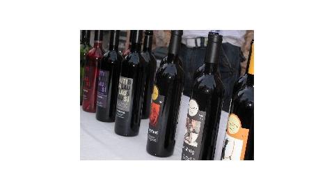 FIRES I FESTES 2009. V TASTADA DE VINS