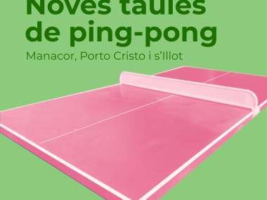 Noves taules de ping-pong 1. 